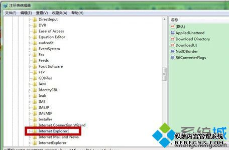 “Internet Explorer”选项