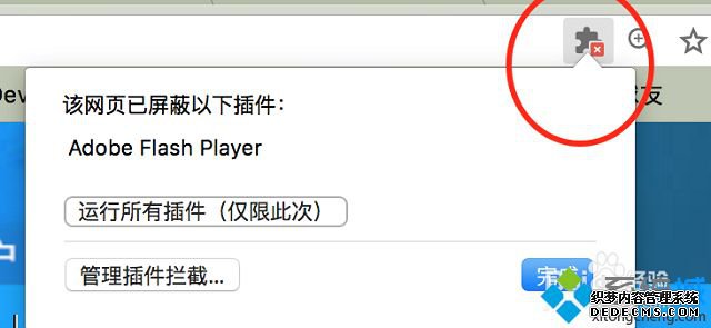 ԹȸʾAdobe Flash Player ѱô
