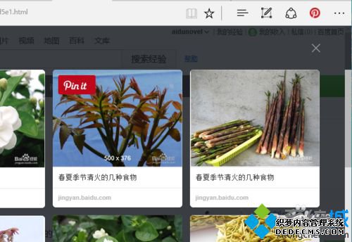 Win10 EdgeʹPin ItչĲ4