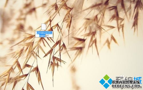 windows10ϵͳõĲ3