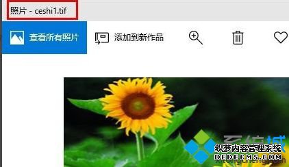 TIFʽʲô򿪣win10TIFʽϸ