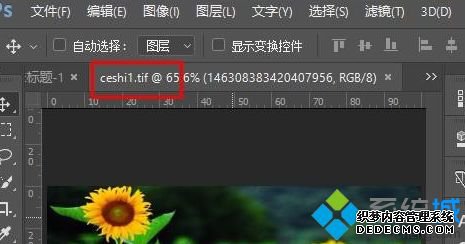 TIFʽʲô򿪣win10TIFʽϸ