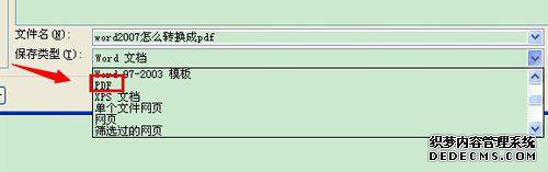 Խword2007תpdfʽķ