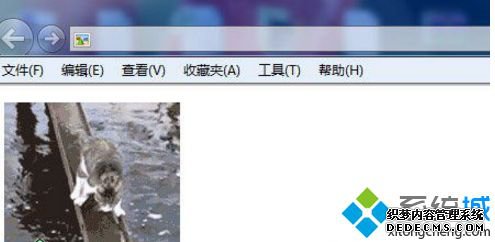 win7ϵͳGIFͼƬֽ