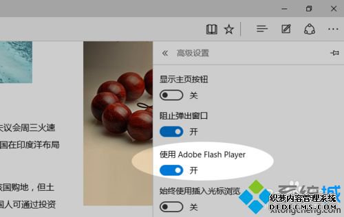 win10ϵͳedgeֹflanshصķ