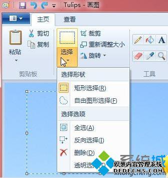ѡͼѡ