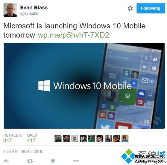 ΢317Win10 Mobileش
