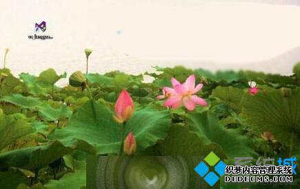 Windows10ϵͳ޷װVS2013԰Ľ1