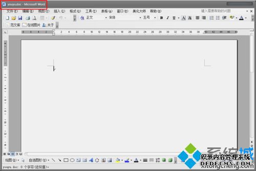显示“只读”