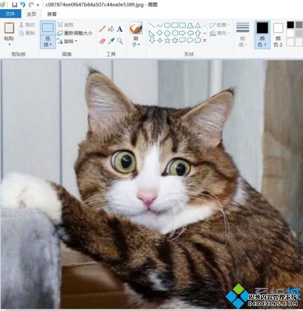 ûͼôƬС_ûͼͼƬСķ