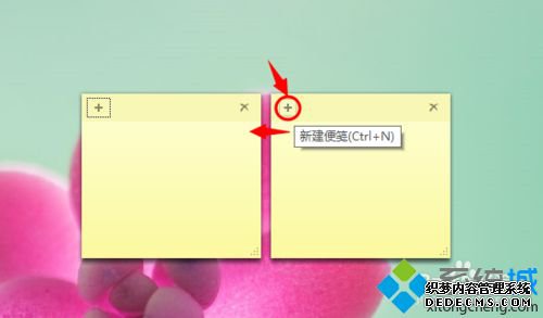 ½ǩ