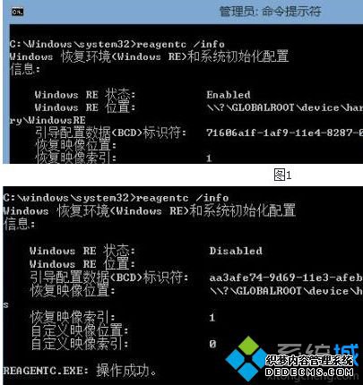룺reagentc /info 