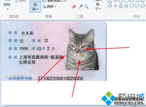 win10ϵͳϲ֤ͼƬĲ7