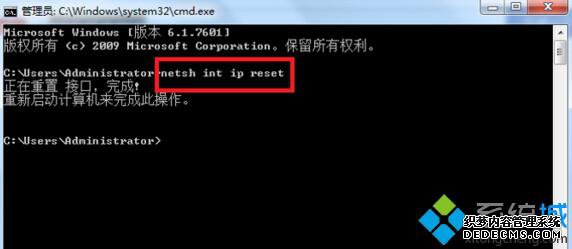 粽1
