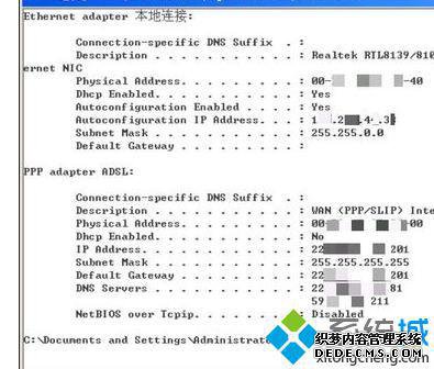 dns鿴4.1