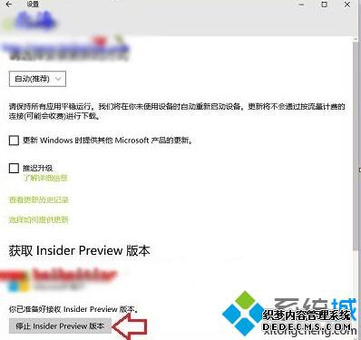 ײֹͣinsider Preview汾İť