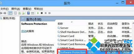 ҵsoftware prtection