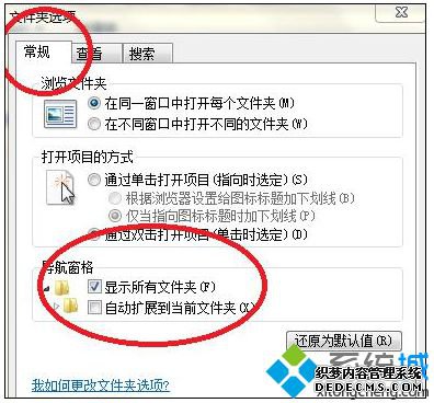 文件夹和搜索选项