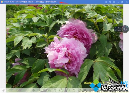 为什么电脑照片打不开 电脑照片打不开的解决方法 为什么电脑照片打不开 电脑照片打不开的解决方法