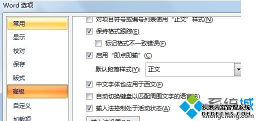 word选项