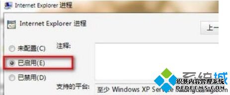 Internet Explorer进程