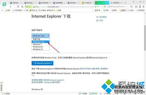 winxpϵͳֶInternet ExplorerĲ2