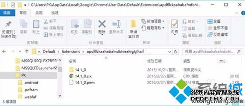 εChromeȸװչ5