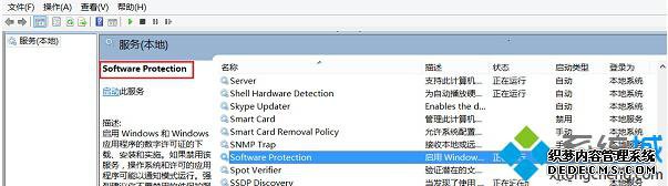 Software Protection